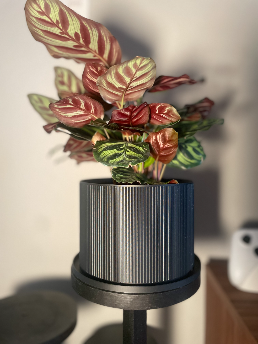 6 Inch Planter (Midcentury Modern)