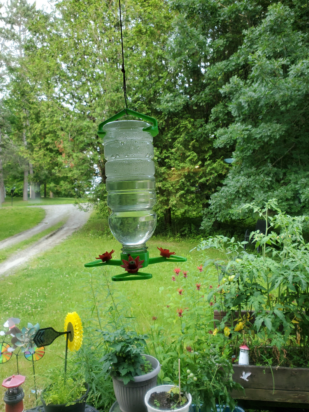 Hummingbird Feeder