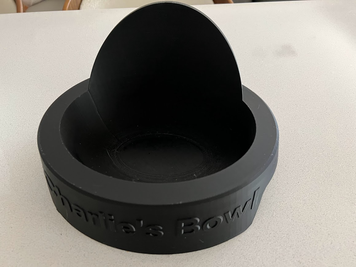 Cat Bowl - for messy cats
