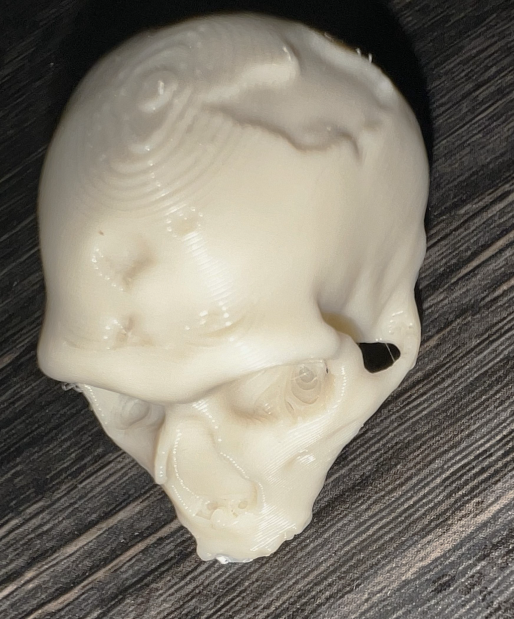 Damaged Cro-Magnon Skull