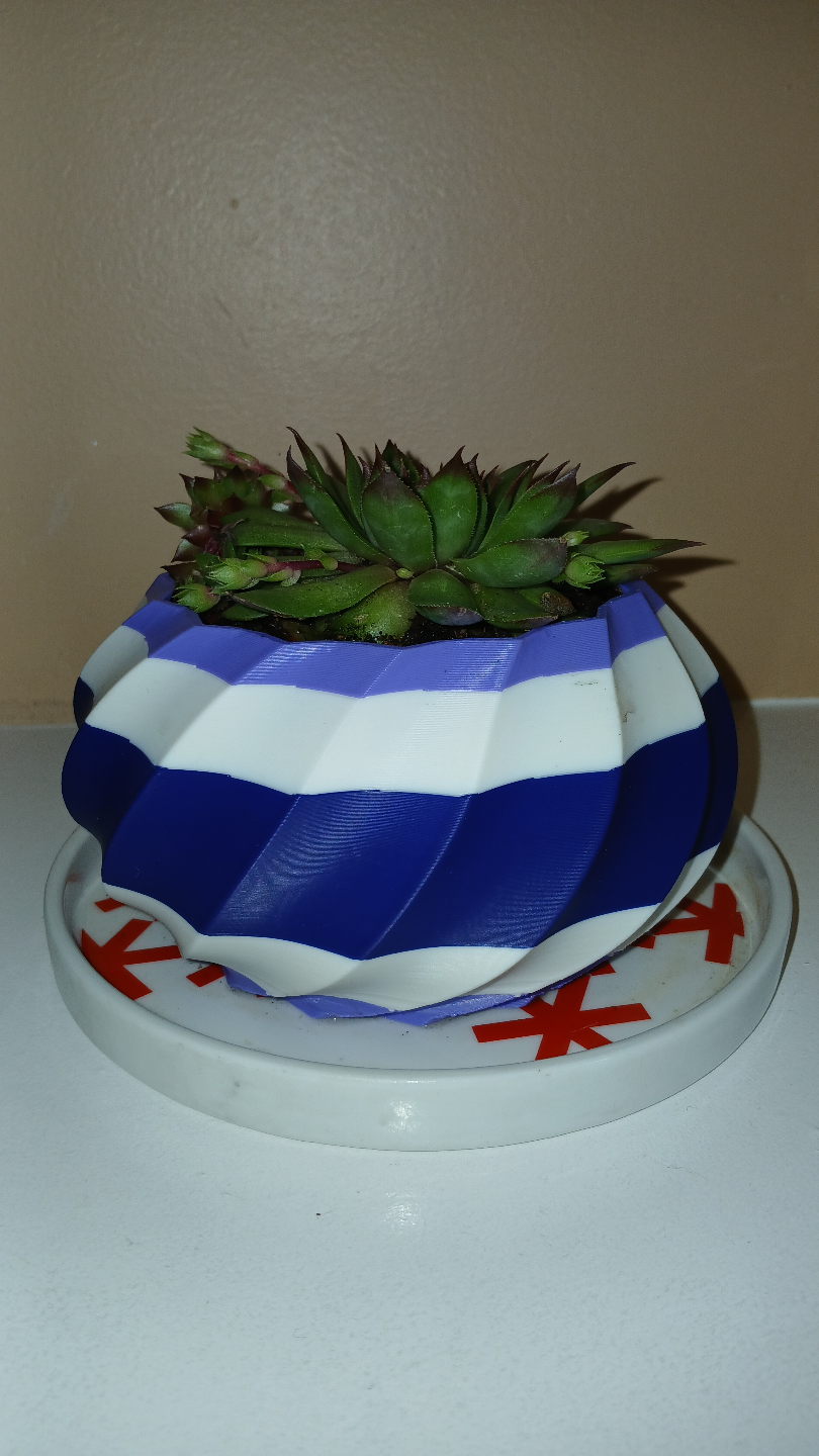 Modern Succulant Plant Pot
