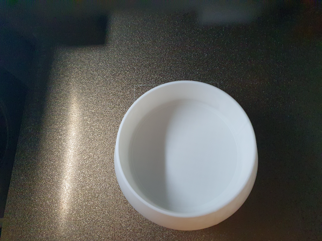 Little cat bowl
