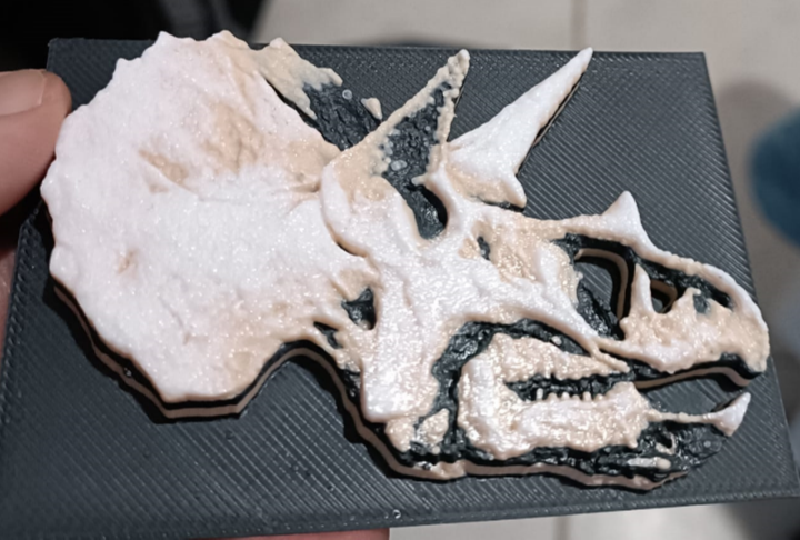 Triceratops Skull Etching