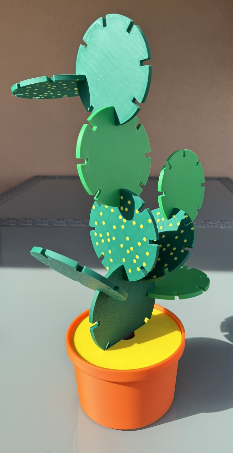 Cactus coaster/toy