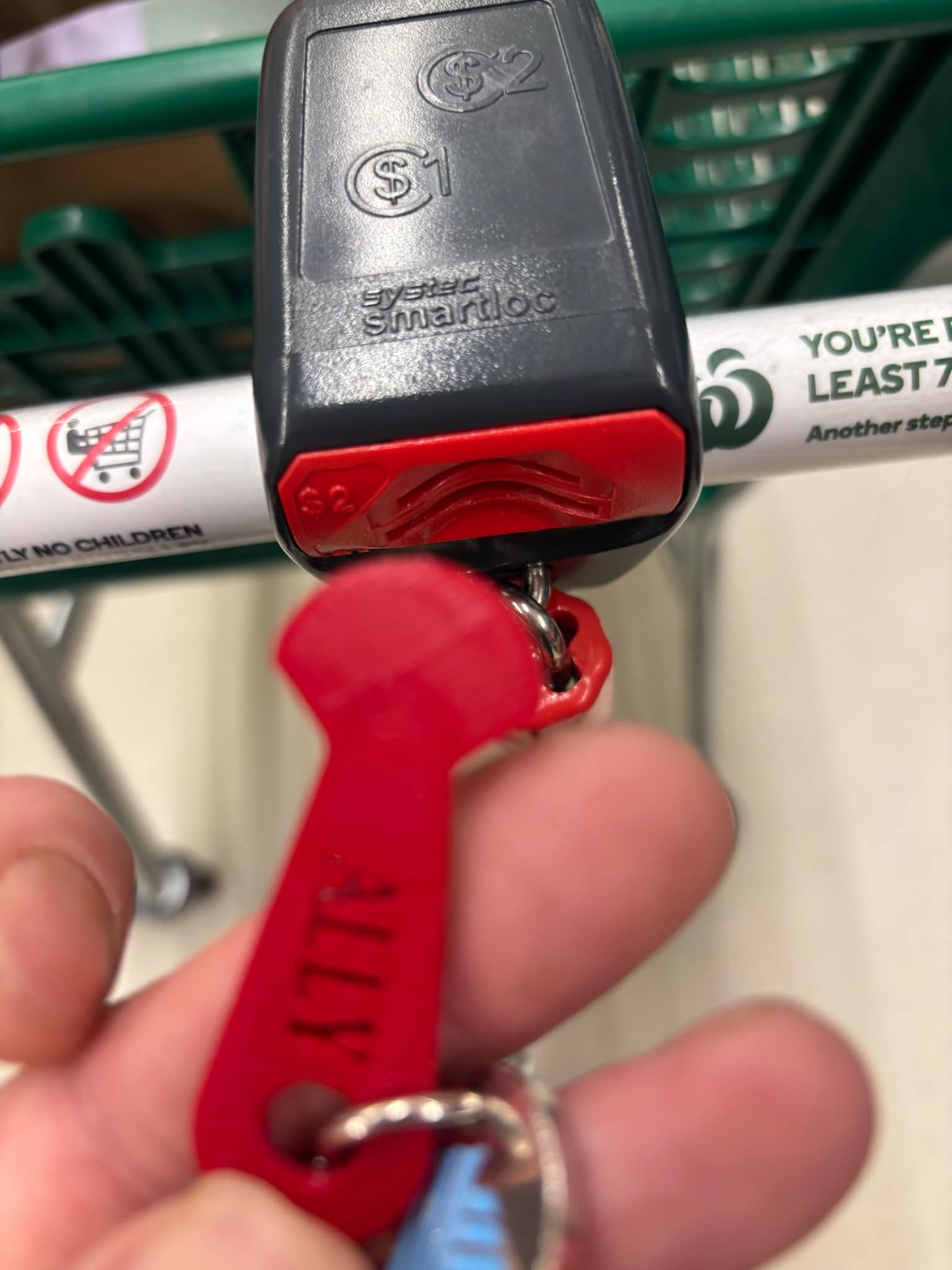 TROLLEY TOKEN