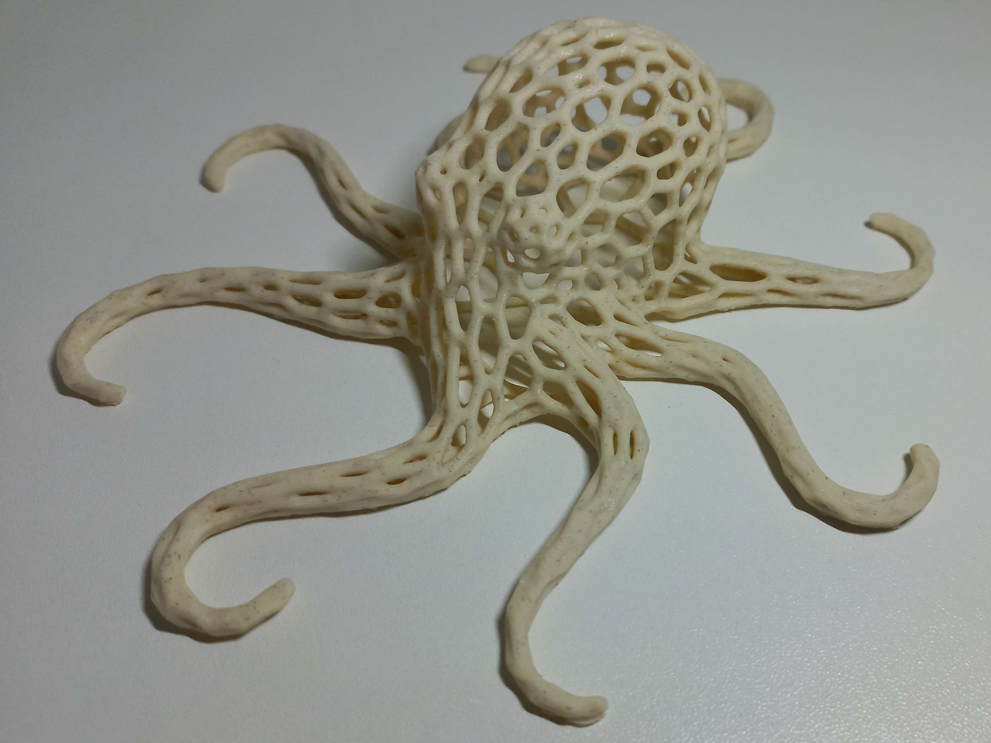 Octopus Voronoi