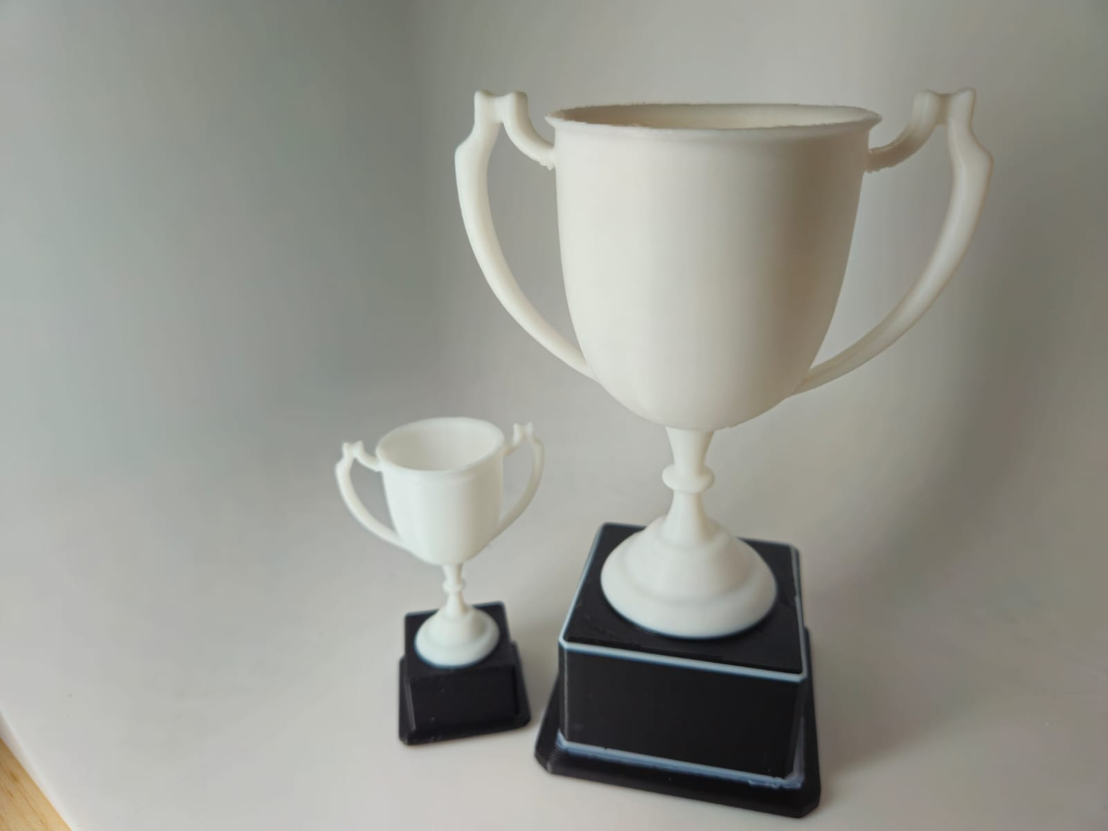 Champion Trophy - Customisable