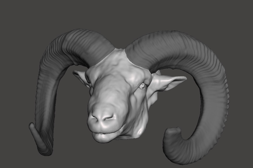 Mouflon Head