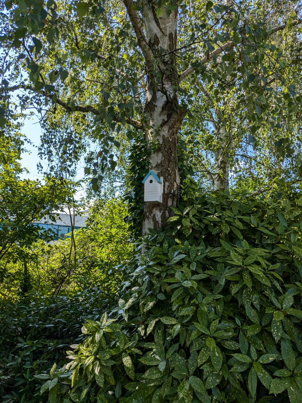 Birdhouse Customizable