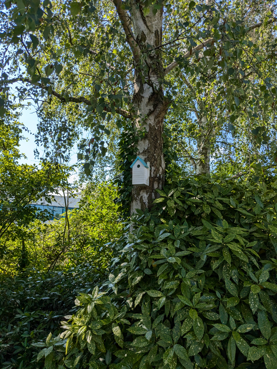 Birdhouse Customizable