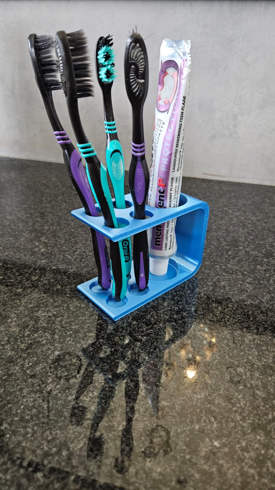 Toothpaste and Toothbrush Holder