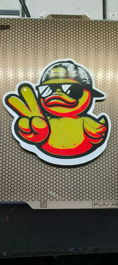 Cool Rubber Duck Wallart/Sign