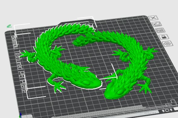flexi lizard