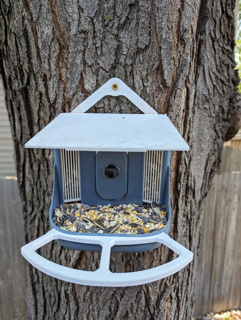 BirdBrain: Smart Bird Feeder - DIY Bird Buddy