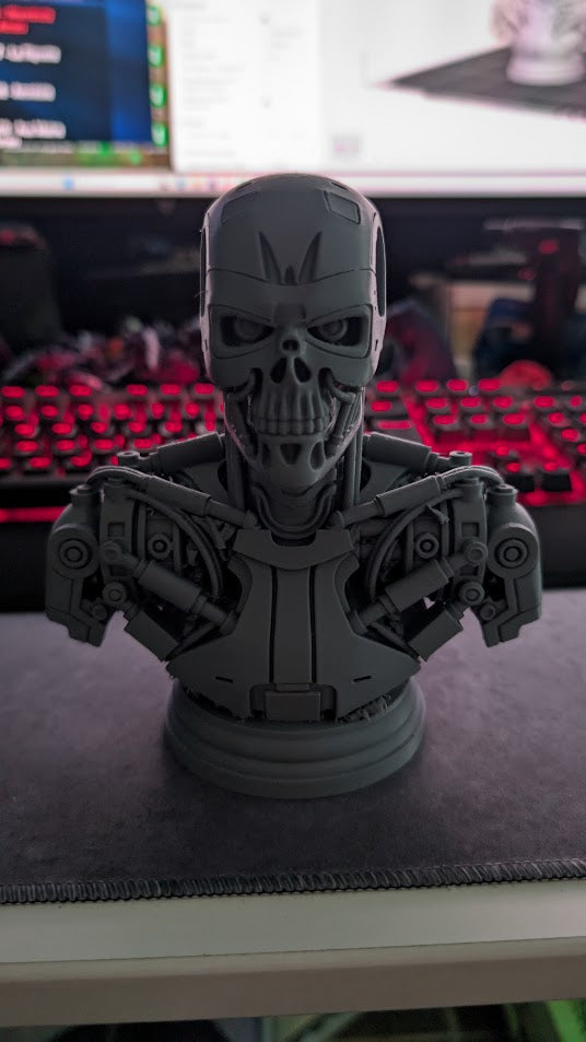 buste terminator v2