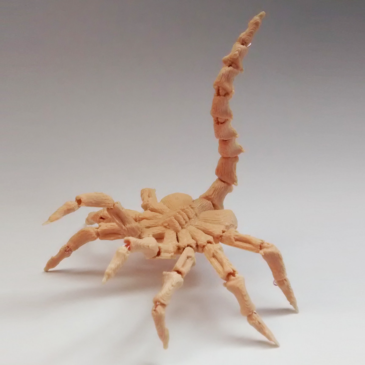 Mini Face Hugger