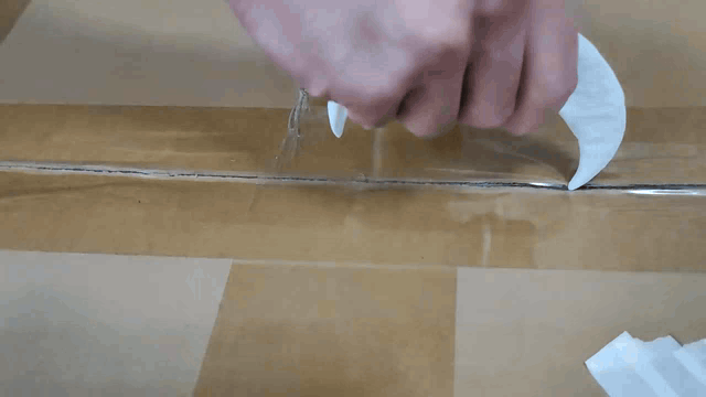 Velociraptor Claw Opener
