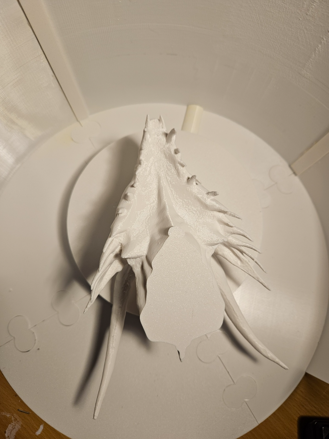 Wall Mounted Dragon Head