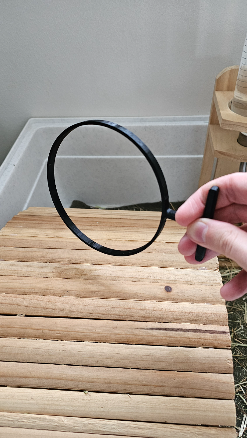 Guinea pig training hoop