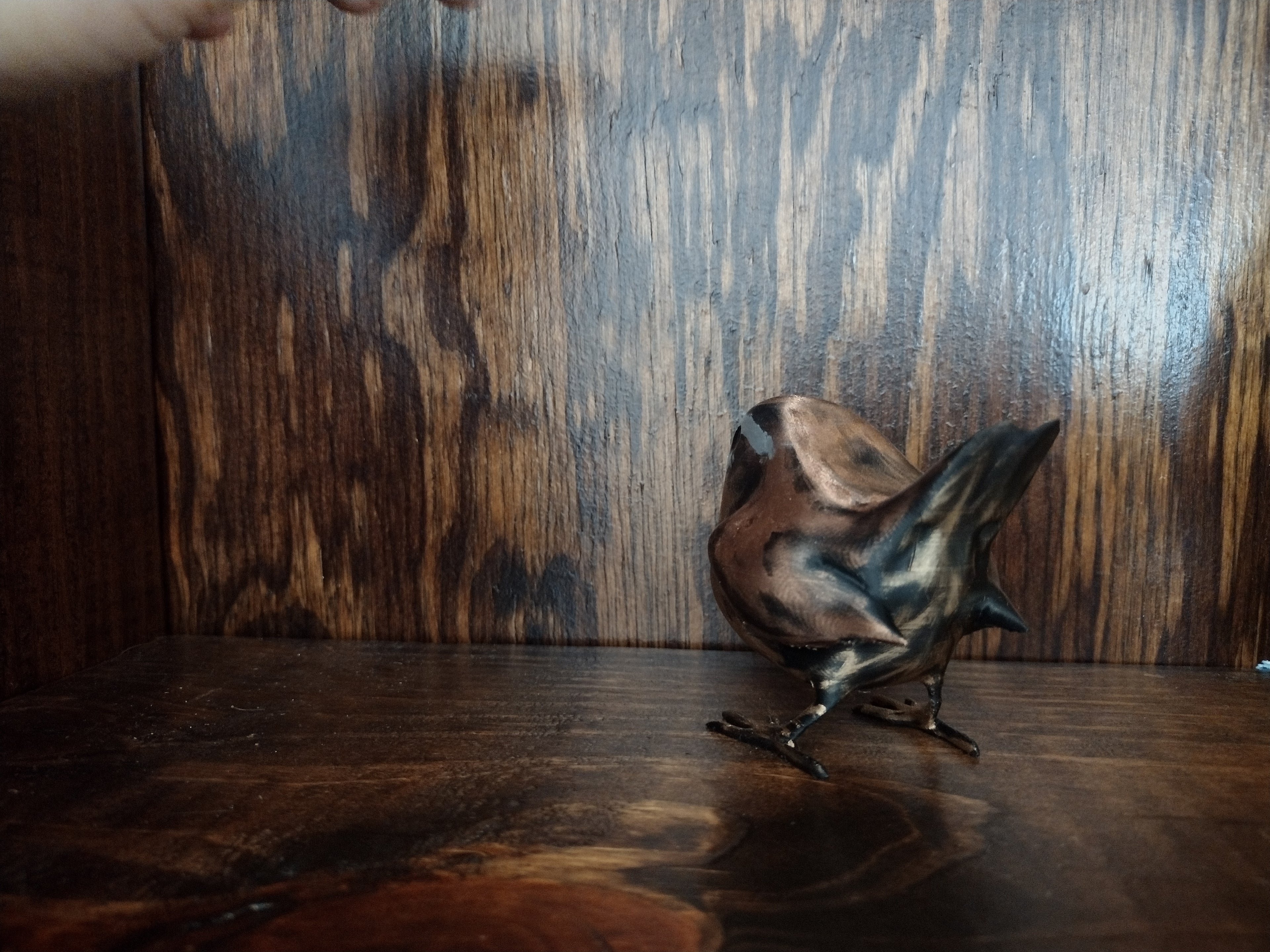 Standing Wren