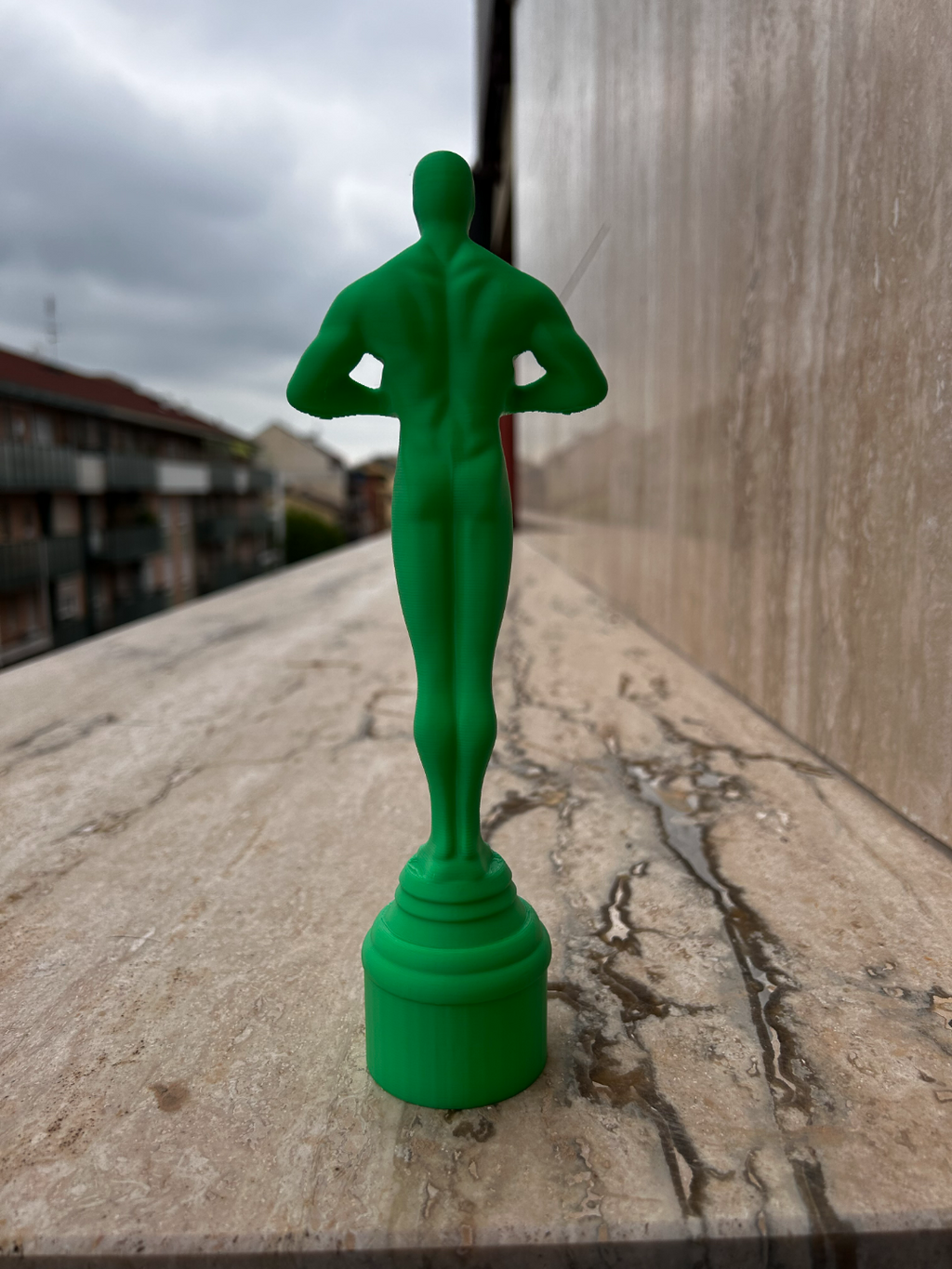 Oscar for the best mother in the world