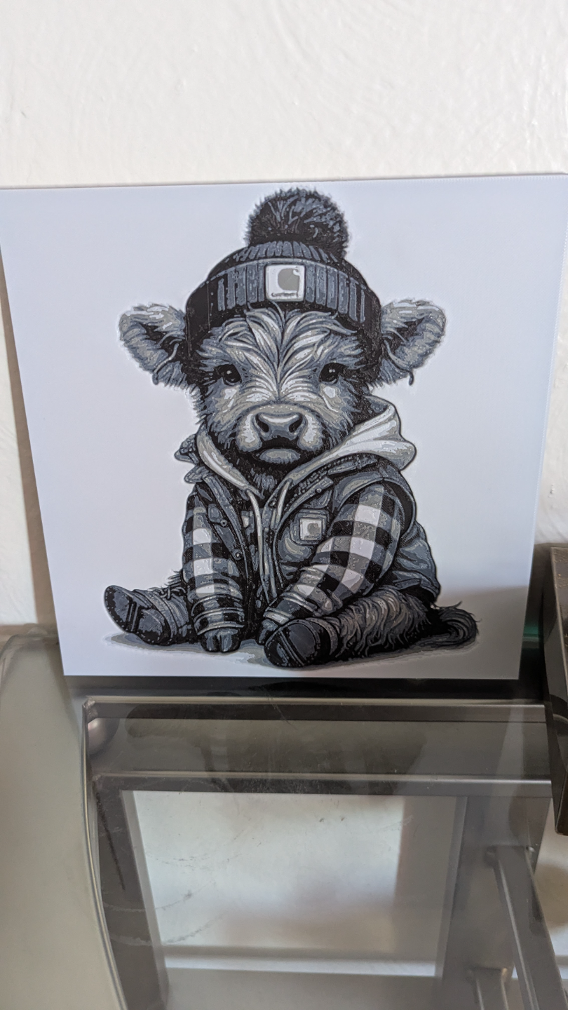 carhartt highland cow 4