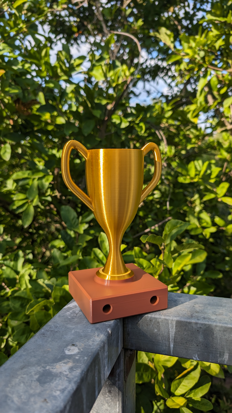 Customisable Trophy