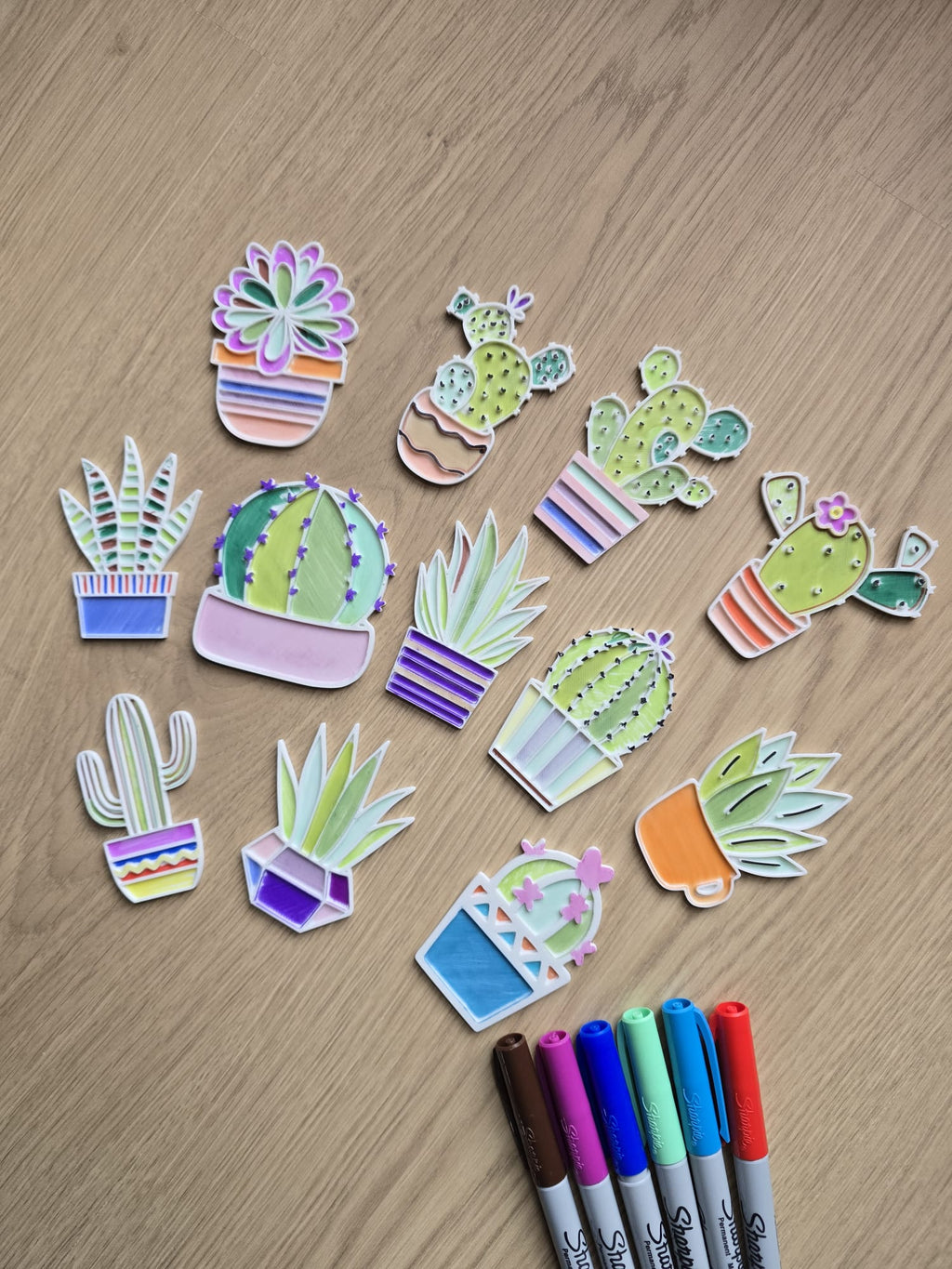 Plants Cactus Flower Pot Coloring Color Set Gift
