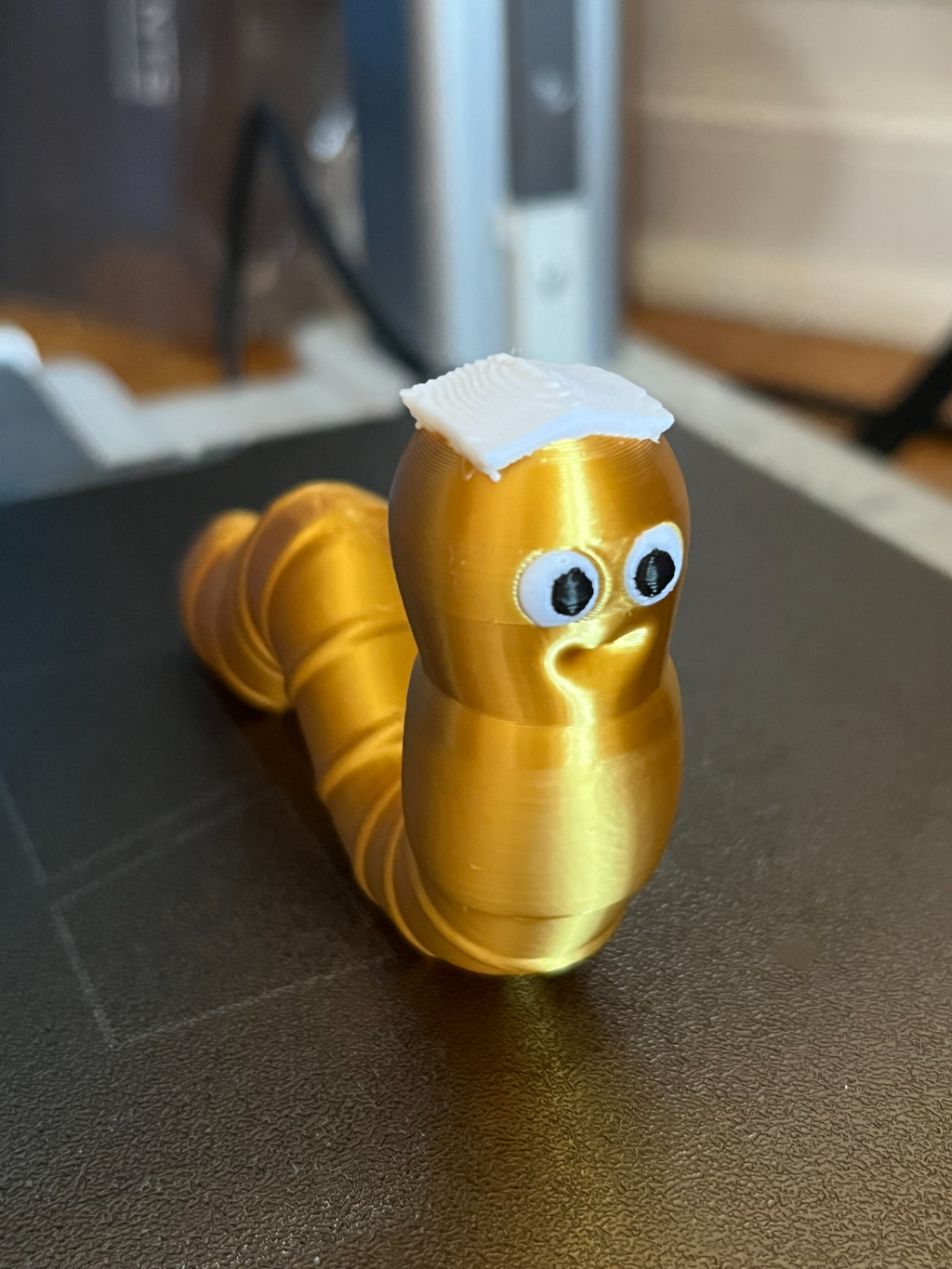 Bookworm - Worm with book on it's head