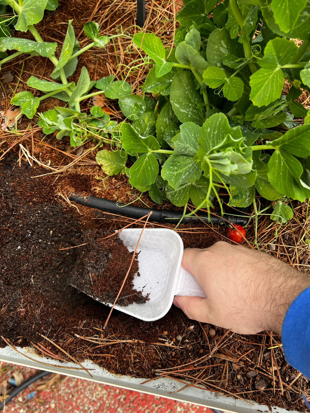 Shovel