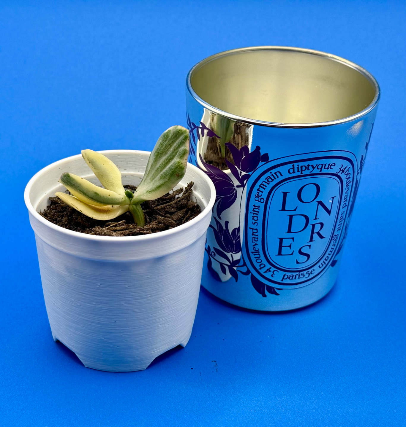 Diptyque Candle Nursery Pot