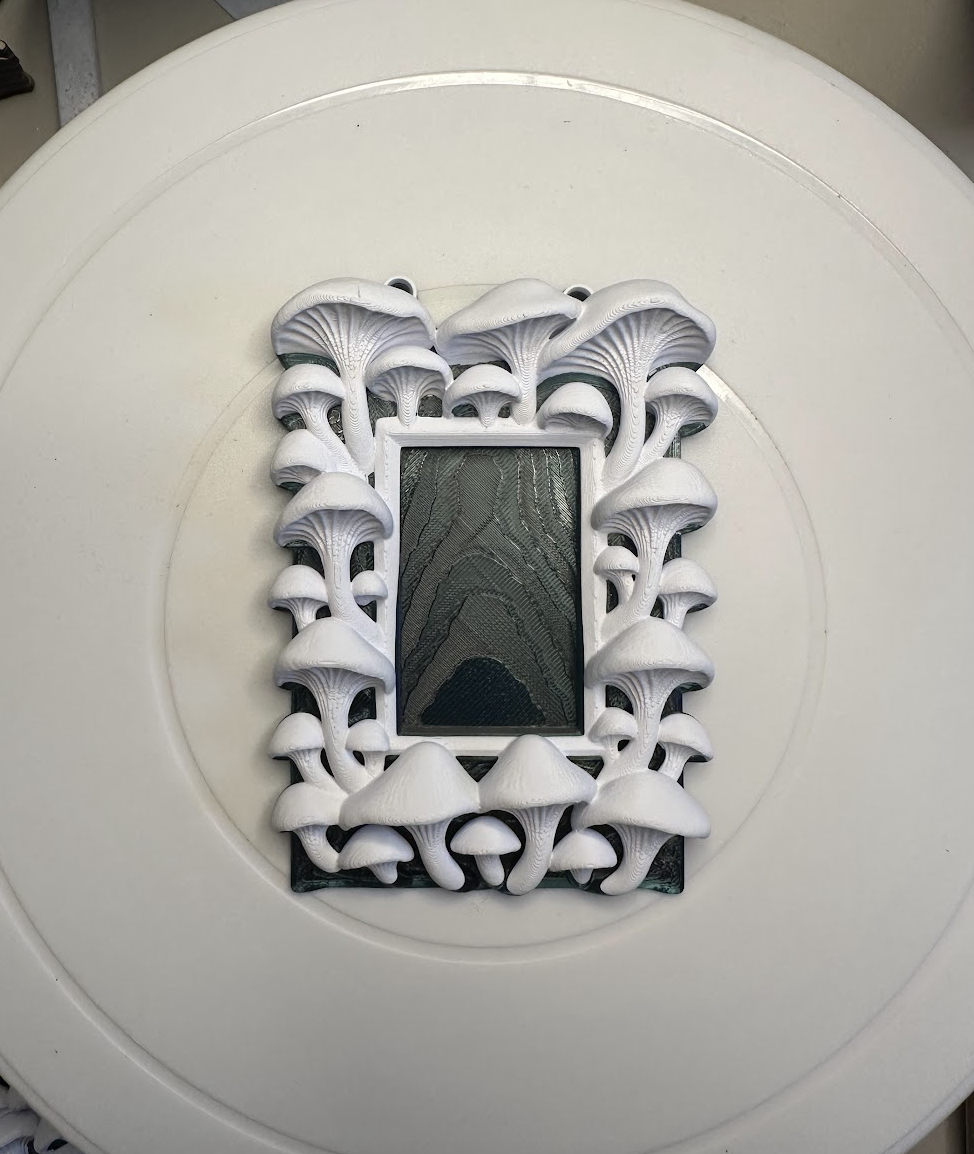 Mushroom Frame