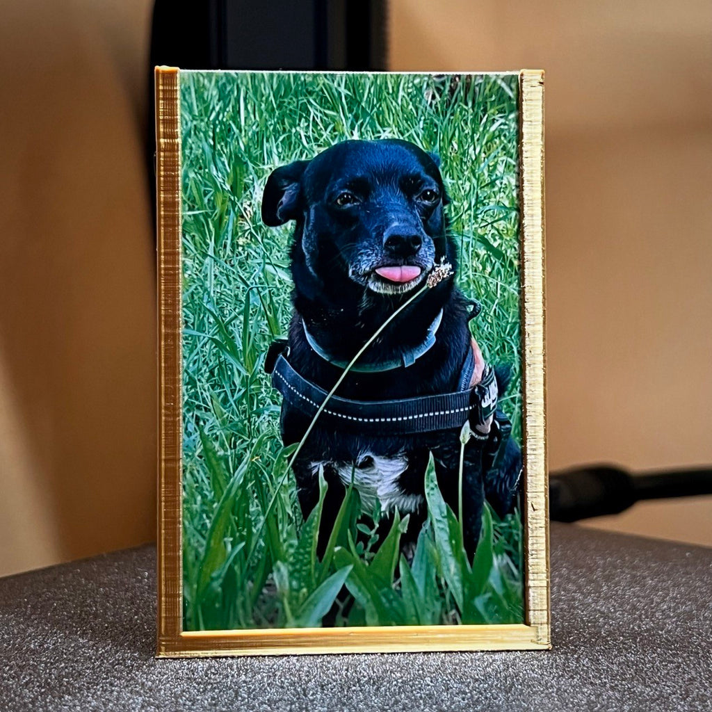 Photo frame for KODAK Mini 2 P210R (5.3x8.6cm)