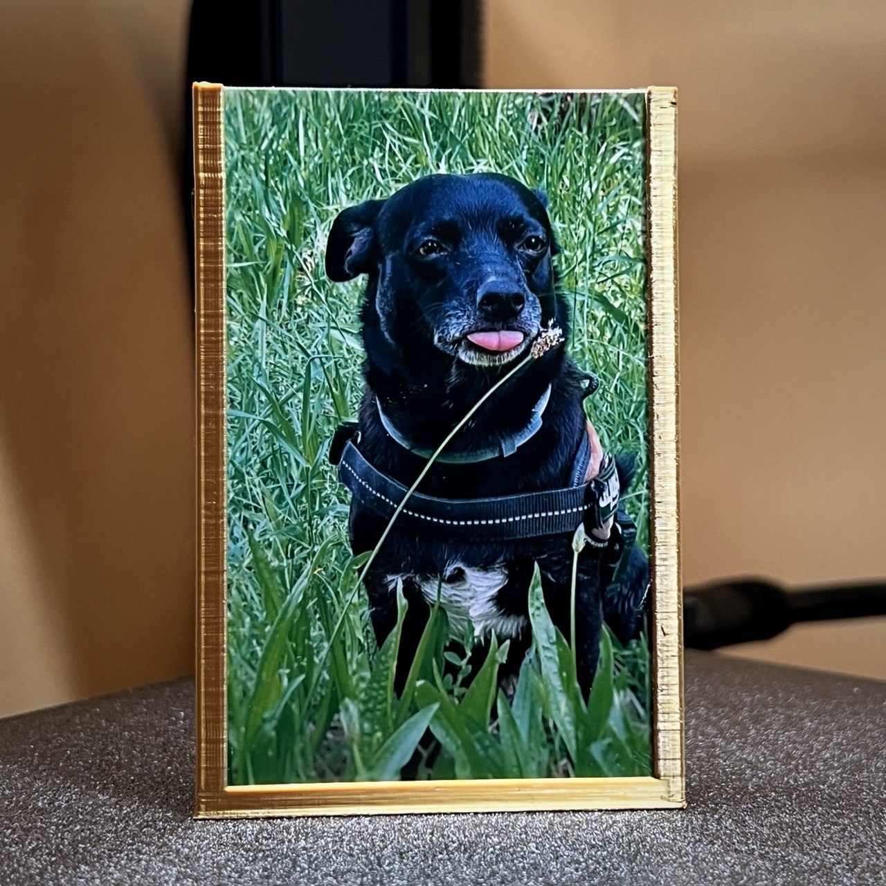 Photo frame for KODAK Mini 2 P210R (5.3x8.6cm)