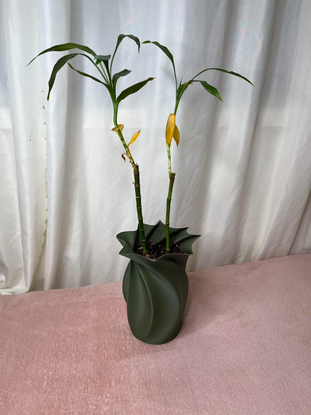 Elligant Spiral Vase