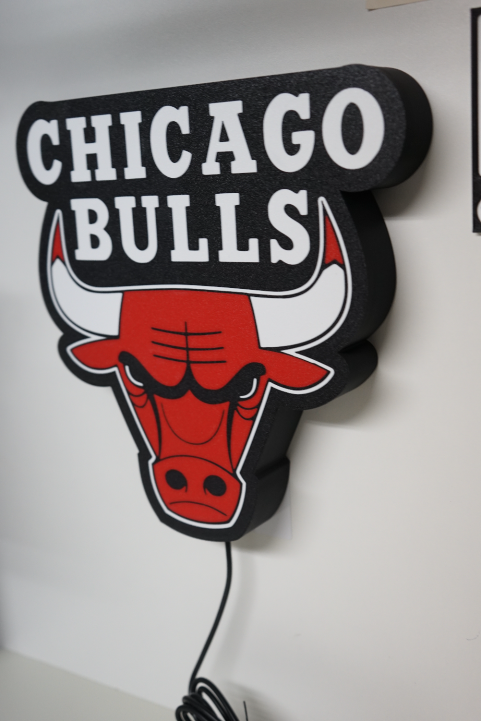 Chicago Bulls Logo