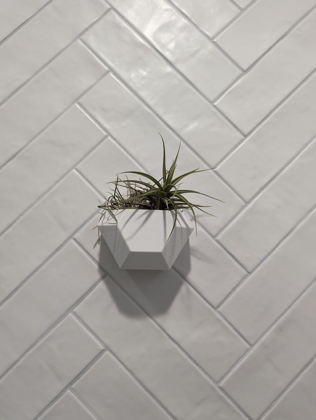 Wall planter