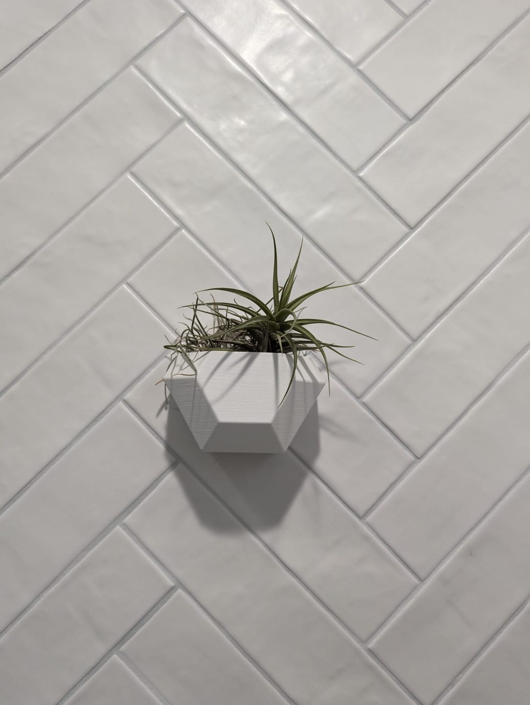 Wall planter