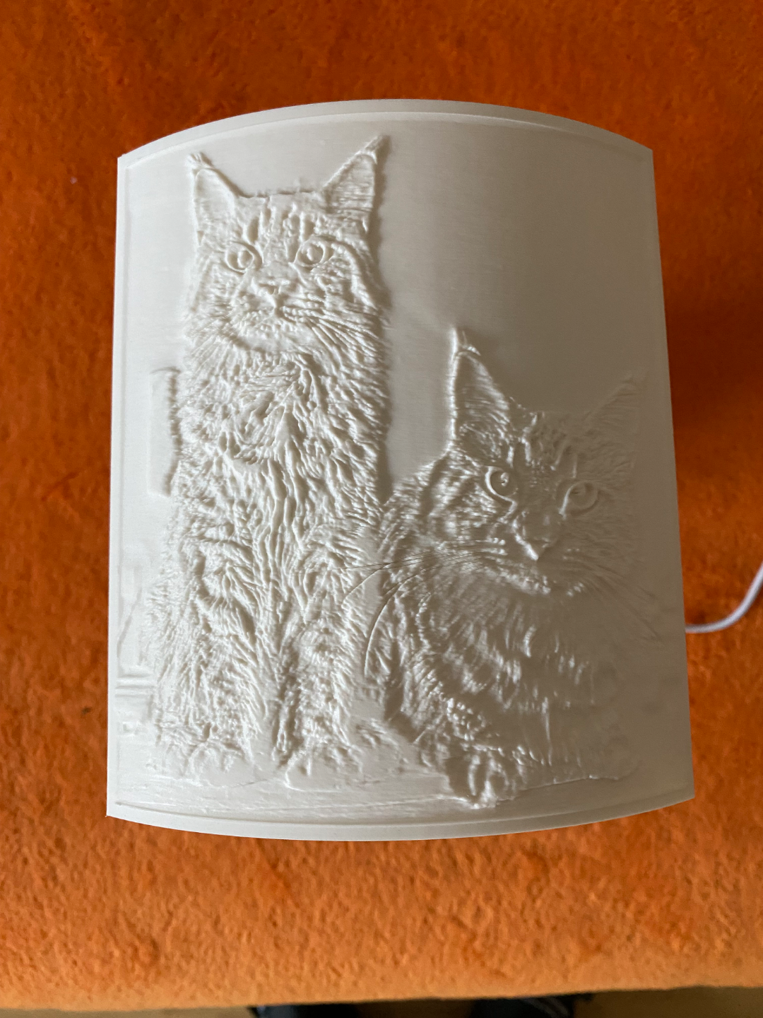Maine-Coon-Katzen - lithophane _ Lampe