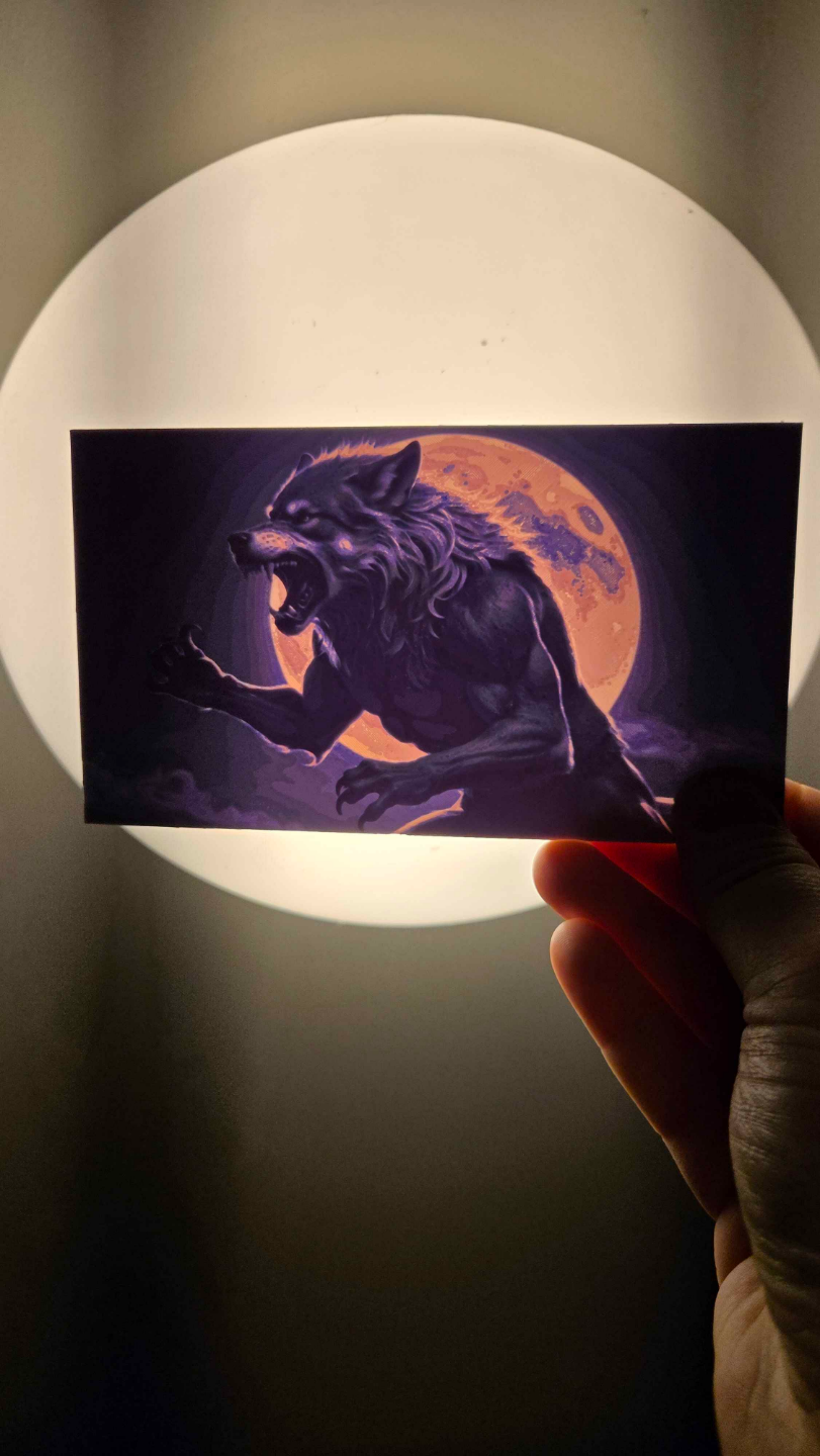 Werewolf at Midnight