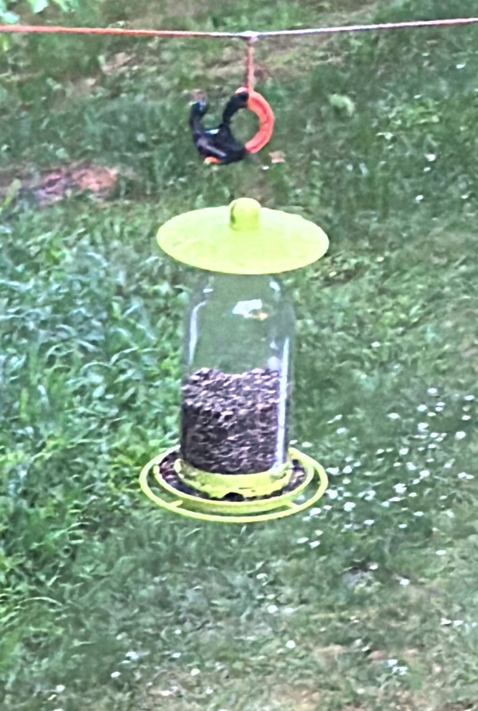 Bird feeder