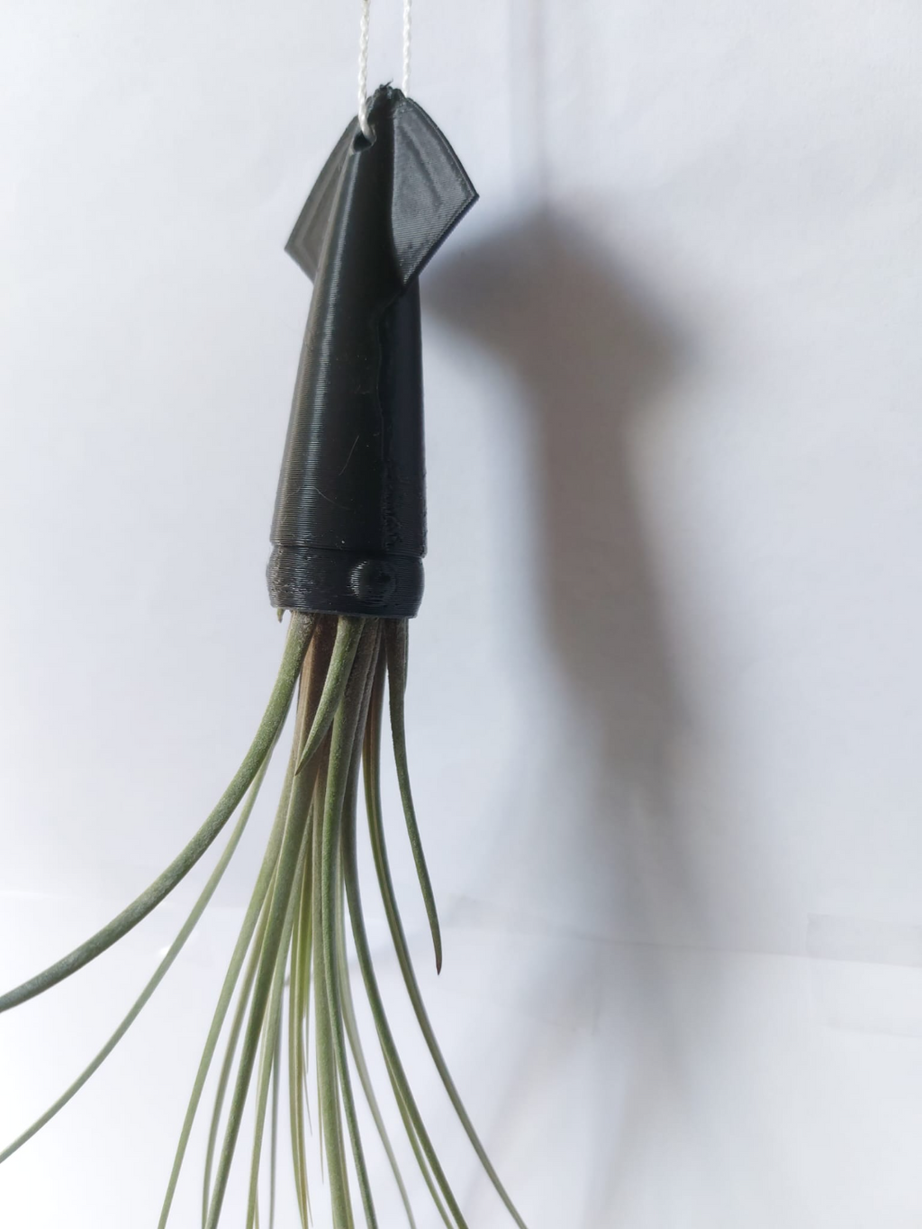 Squid Planter