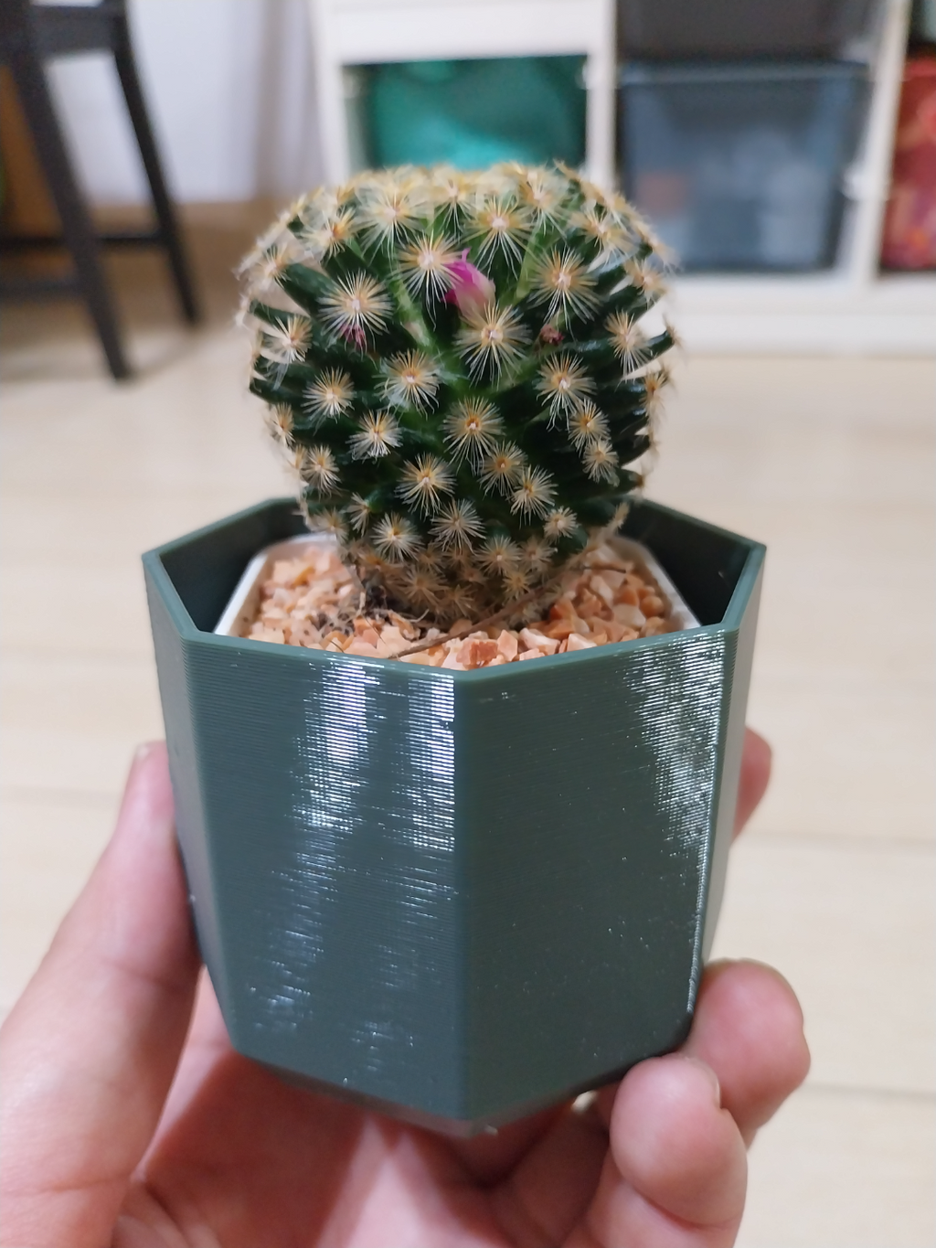 Hexagon plant pot
