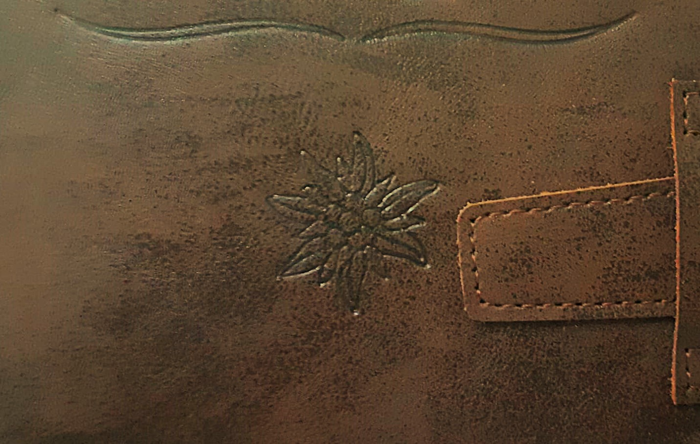 Edelweiss flower stamp