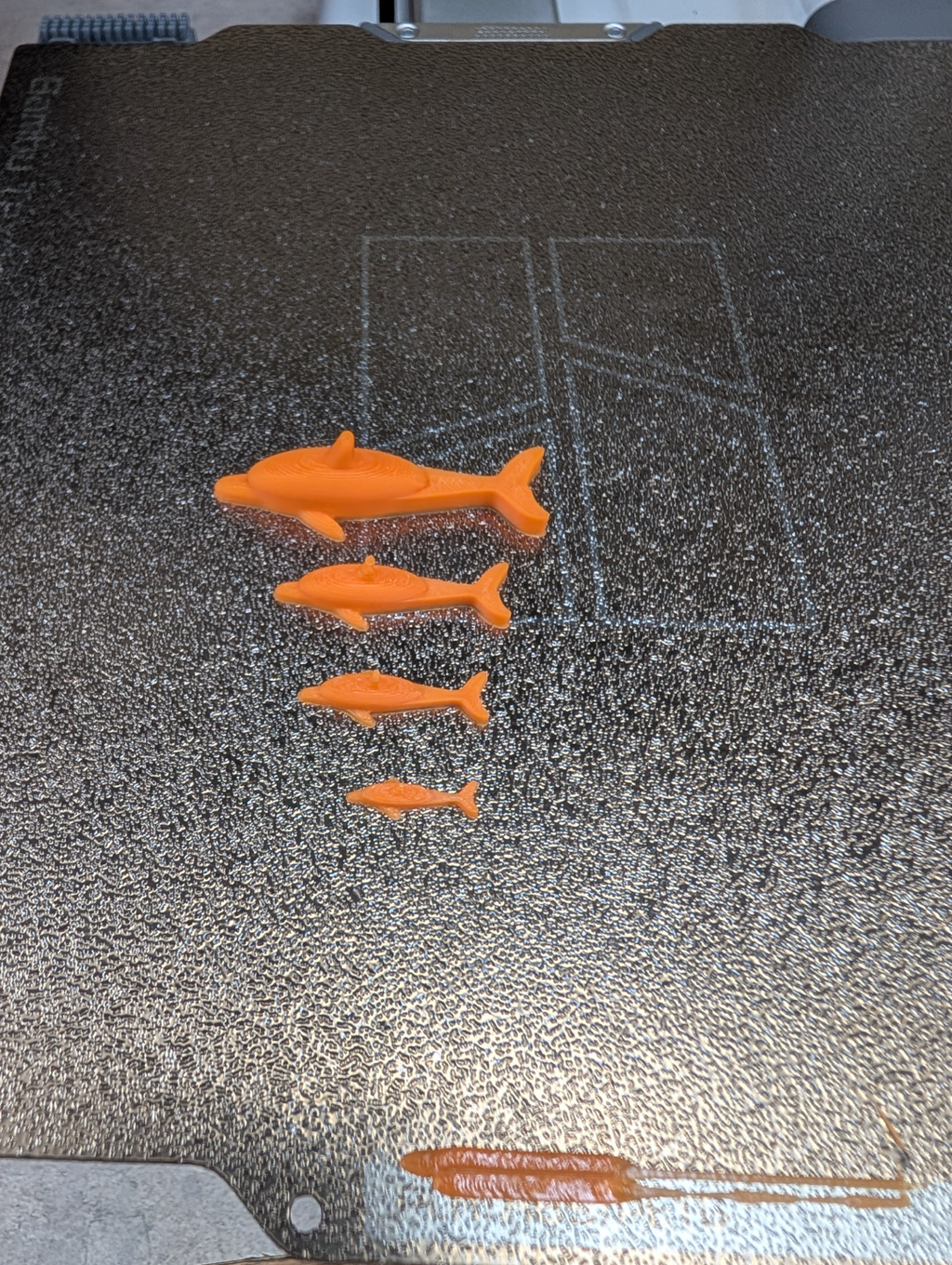 Danny Dolphin the Benchy Buddy