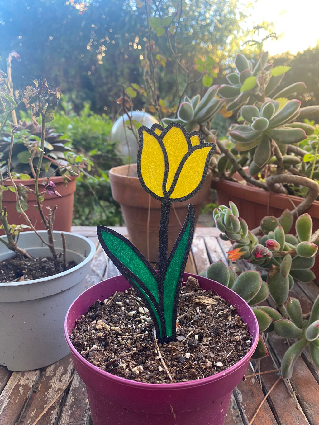 Modular Tulip