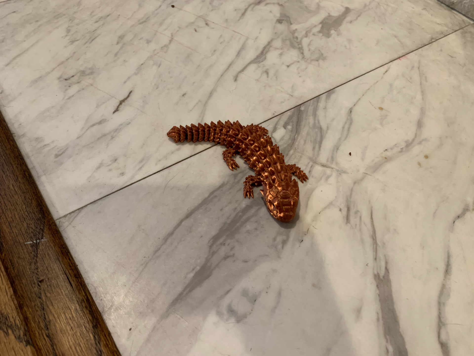 small tail armadillo lizard