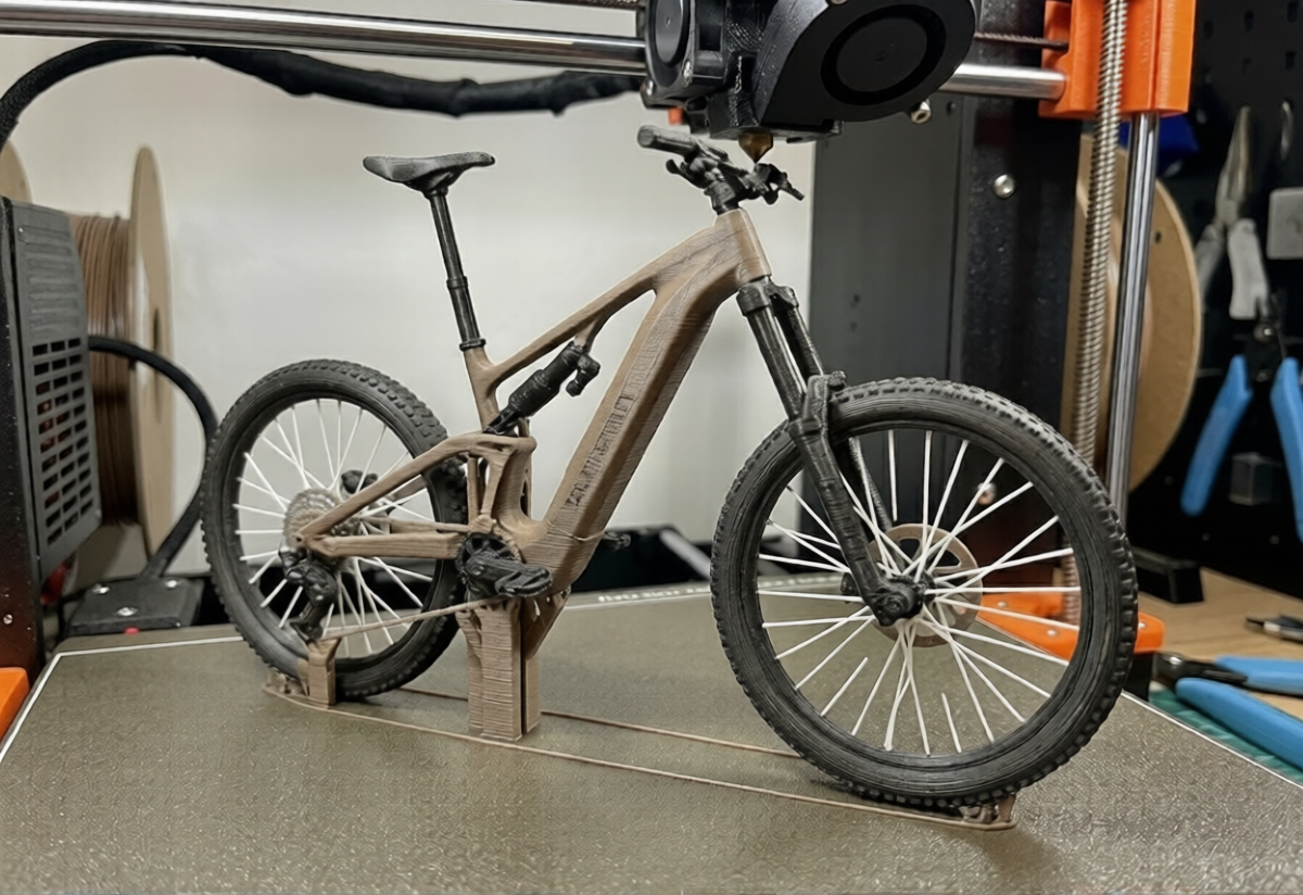 MTB Brown