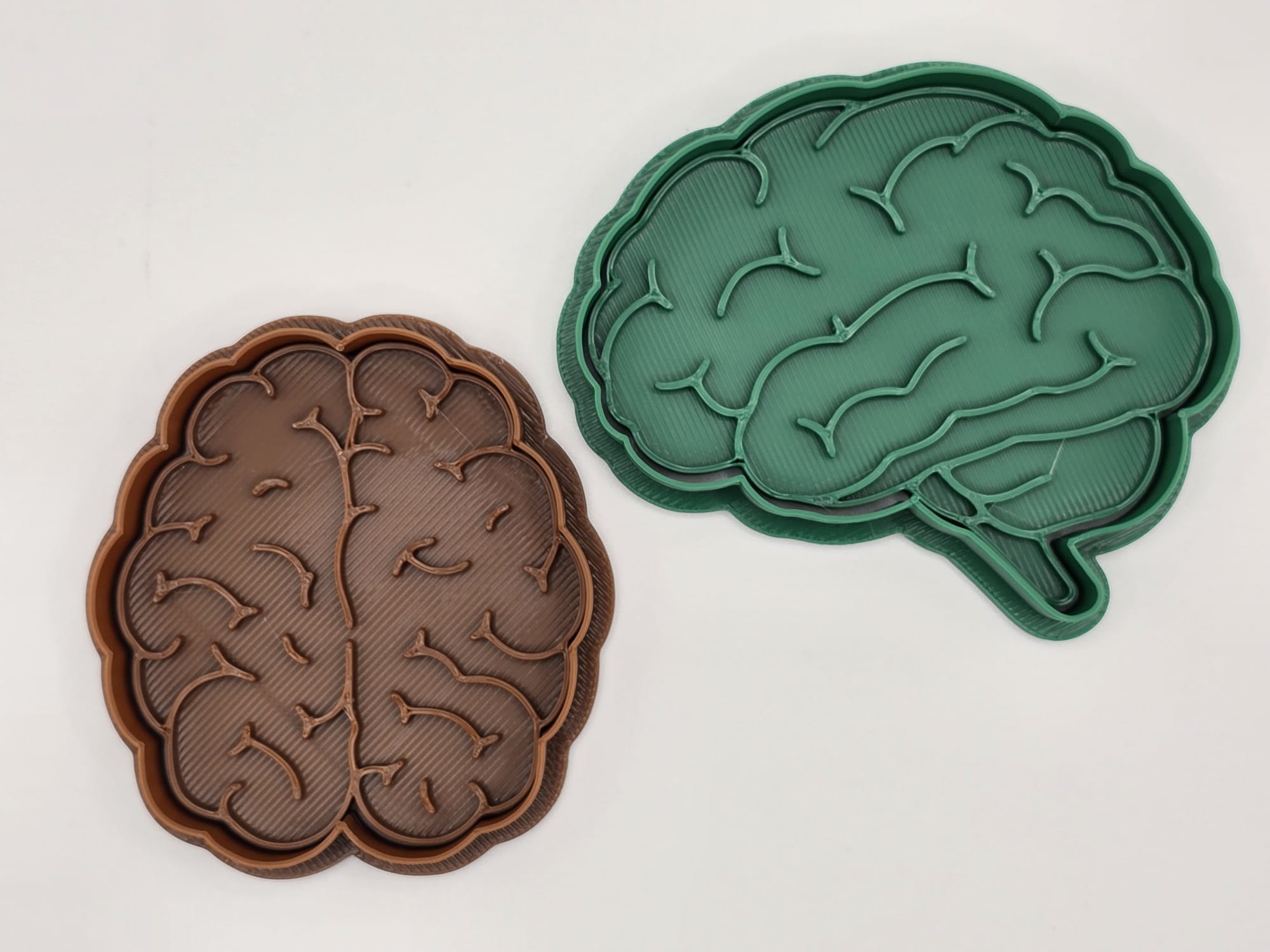 Brain Anatomy Cookie Cutter Playdoh
