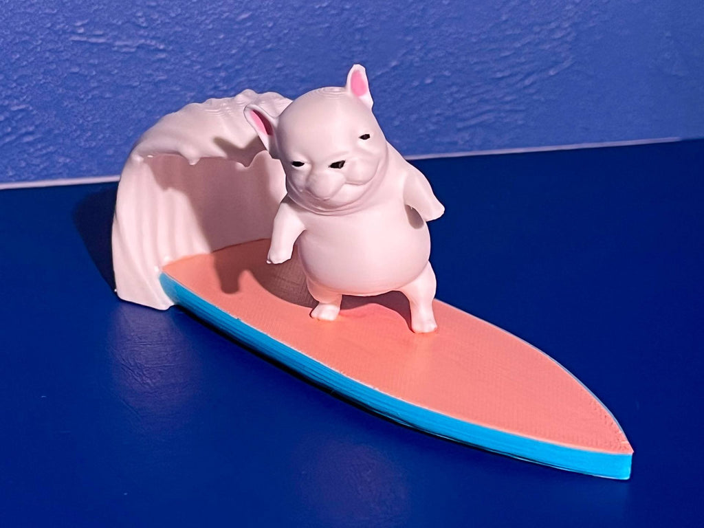 Chill dog on surf